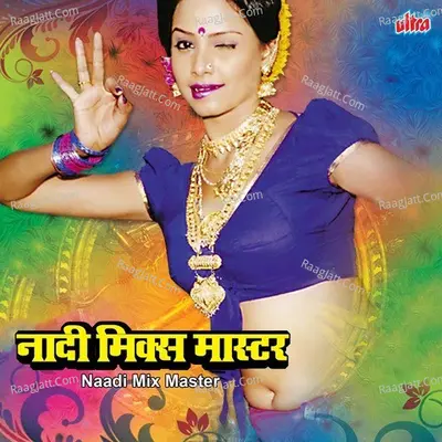 Naadi Mix Master - Vijay Sartape