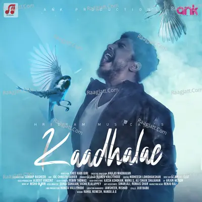 Kaadhalae Cover