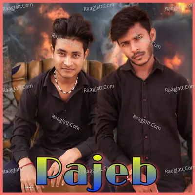 Pajeb