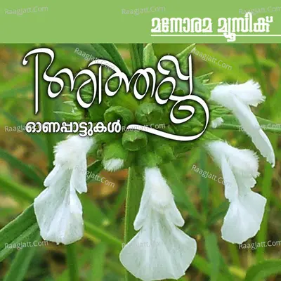 Athappoo Poster
