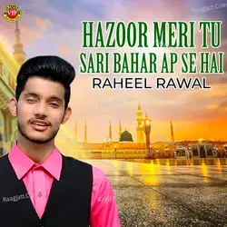 Hazoor Meri Tu Sari Bahar Ap Se Hai - Single