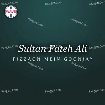 Fizzaon Mein Goonjay - Single Cover