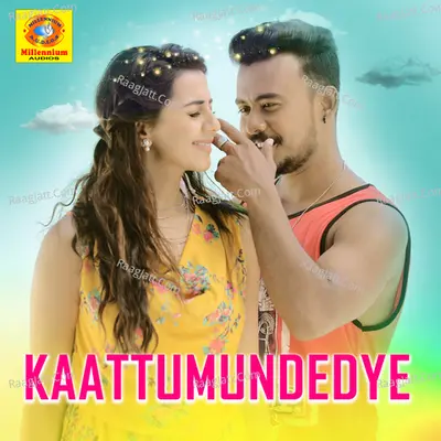 Dhamaka Poster