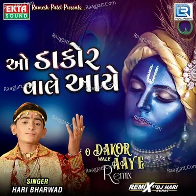 O Dakor Wale Aaye (Dj Hari Surat) Cover