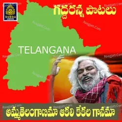 Amma Telanganama Aakali kekala Gaanama