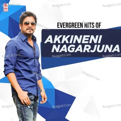 Evergreen Hits Of Akkineni Nagarjuna - Laxmikant - Pyarelal
