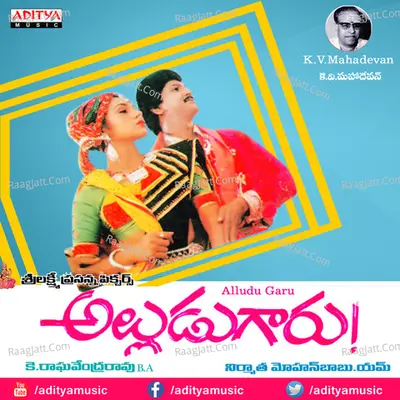 Alludu Garu Poster