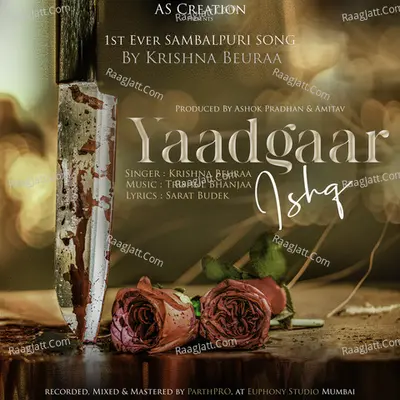 Yaadgaar Ishq Cover
