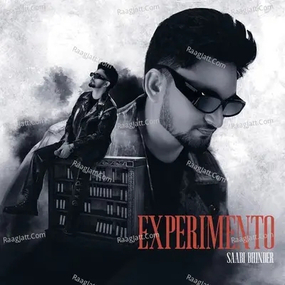 Experimento Poster
