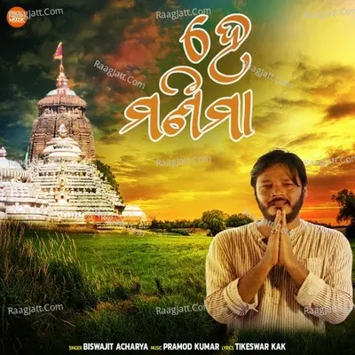 Biswajit Acharya