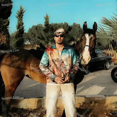 Garage Cover