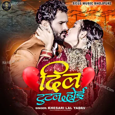 Dil Tutal Hoi Cover