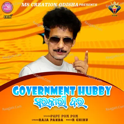 Government Hubby Cover
