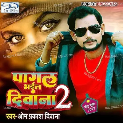 Pagal Bhail Diwana 2 Cover