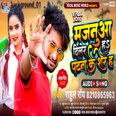 Patna Ke Sher Ha Cover