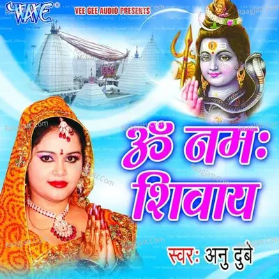 Om Namah Shivaye - Anu Dubey