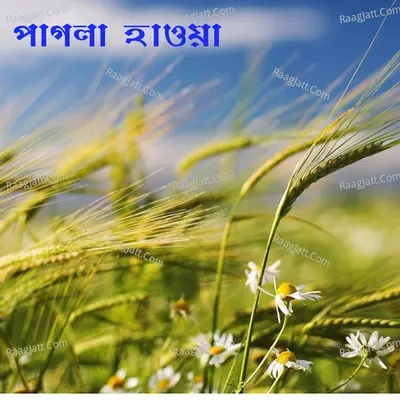 Pagla Hawa Poster