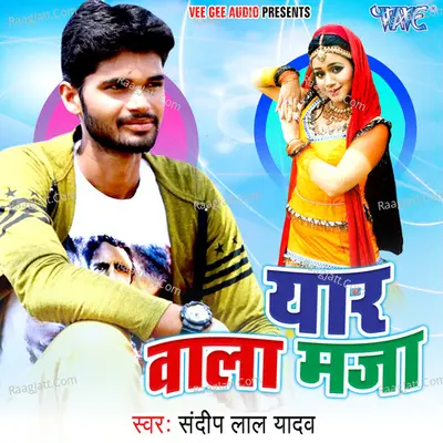 Yaar Wala Maza Poster
