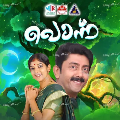 Ponnu (Original Motion Picture Soundtrack) - Sudhasanyasi