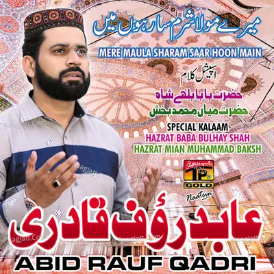 Mere Maula Sharam Saar Hoon Main Poster