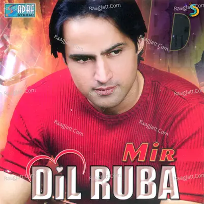 Dil Ruba Poster