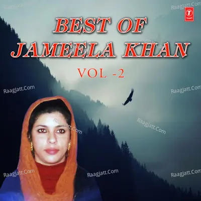 Best Of Jameela Khan Vol-2 Poster