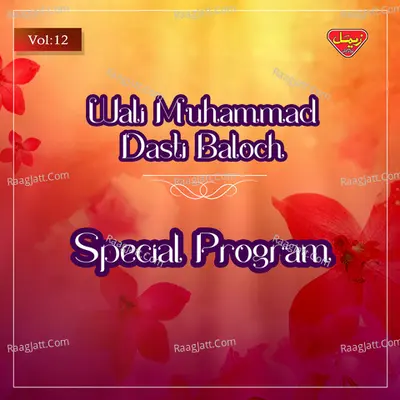 Special Program, Vol. 12 - Wali Muhammad Dasti Baloch