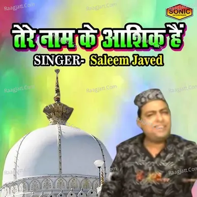 Tere Naam Ke Ashiq Hai Cover