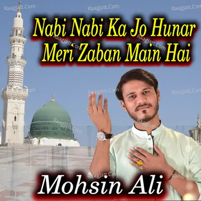 Nabi Nabi Ka Jo Hunar Meri Zaban Main Hai - Single