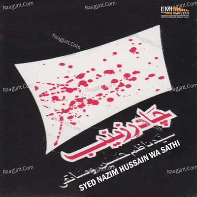Syed Nazim Hussain Wa Sathi - 