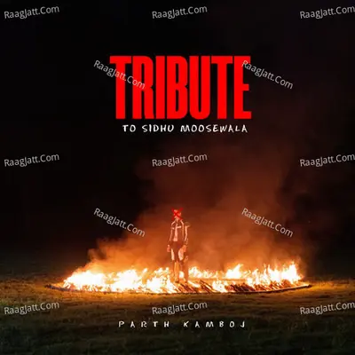 Tribute To Sidhu Moosewala Cover