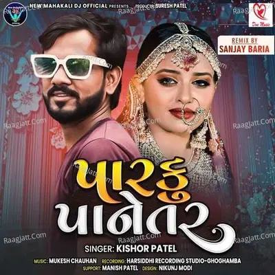 Parku Paanetar Poster