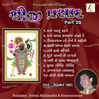 Shreeji Prasad Pt.20-Shreenathji Sankirtan Poster