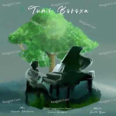 Tumi Boroxa Cover