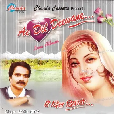 Ae Dil Deewane - Mohd. Niyaz