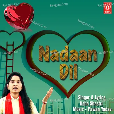 Nadaan Dil Poster