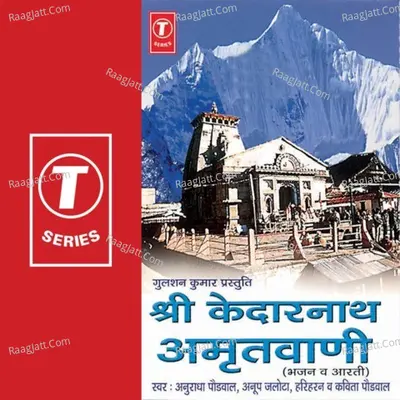 Shri Kedarnath Amritgatha Poster
