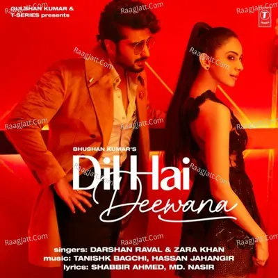 Dil Hai Deewana Cover