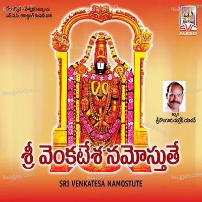 Sri Venkatesa Namostute Cover