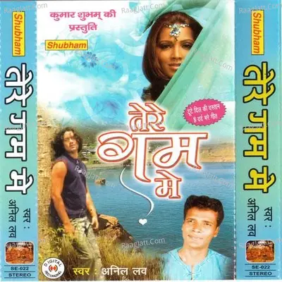 Tere Gham Mein - Anil Lov
