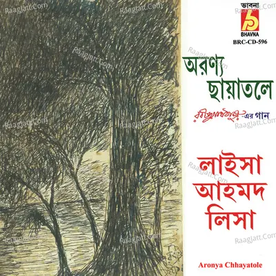 Aronya Chhayatole Poster