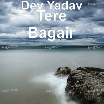 Tere Bagair Cover