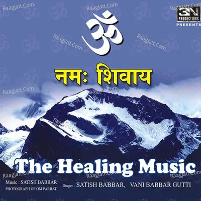 Om Namoh Shivay - The Healing Music Poster