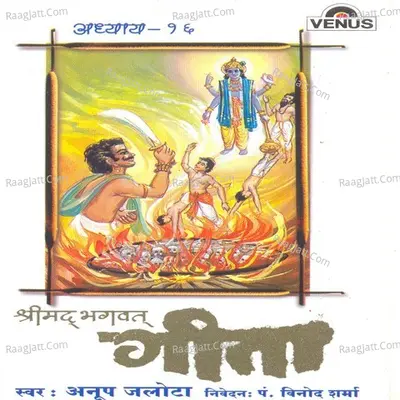 Shreemad Bhagwat Geeta- Vol- 16 - Anup Jalota