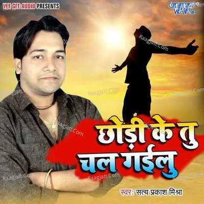 Chhodi Ke Tu Chal Gailu Poster