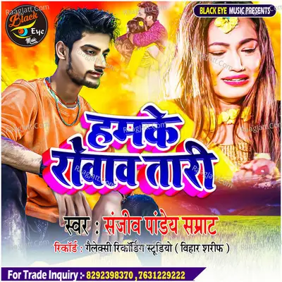 Hamke Rovav Taari Cover
