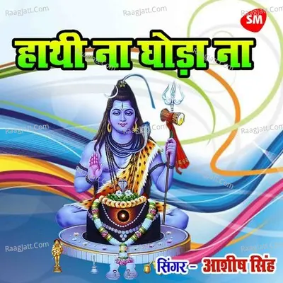 Ashish Singh Image