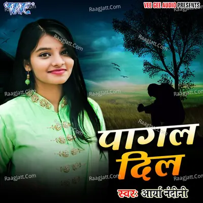 Pagal Dil Poster
