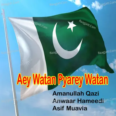Aey Watan Pyarey Watan - Single