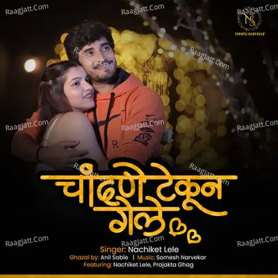 Nachiket Lele Image
